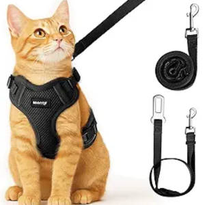 Cat Collars & harness