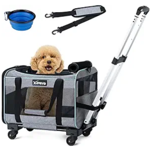 Dog Travel Carriers