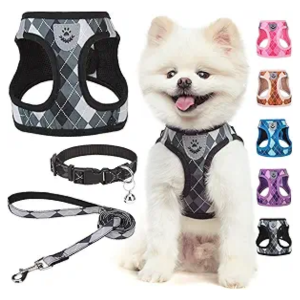 Dog Collars & Leashes