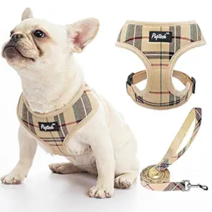 Dog Harnesses