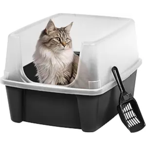 Cats Litter Boxes