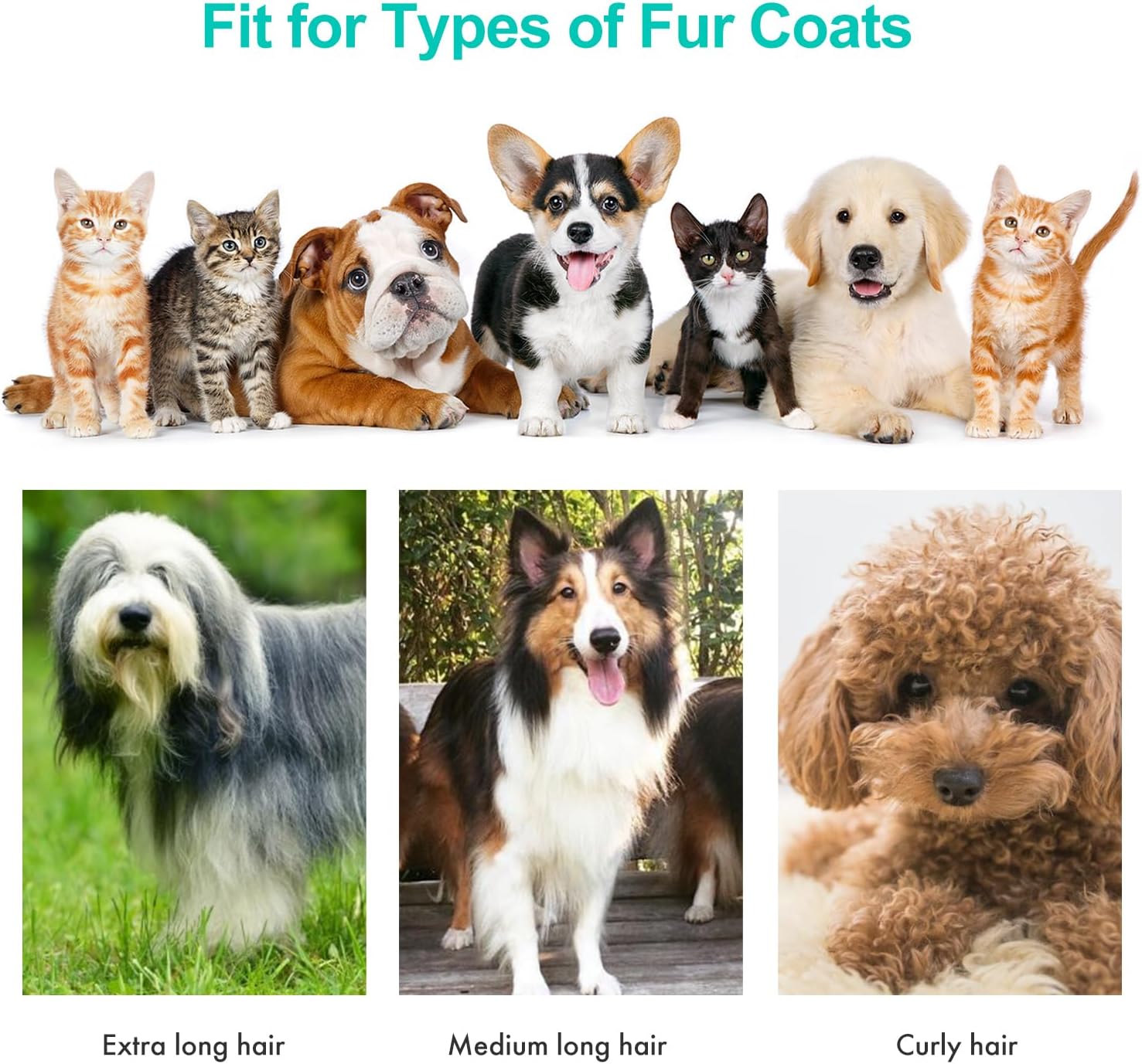 Neakasa Grooming Vacuum