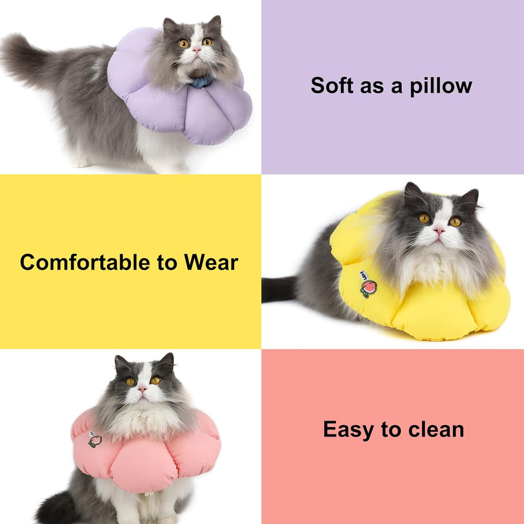 Cat Cone Collar