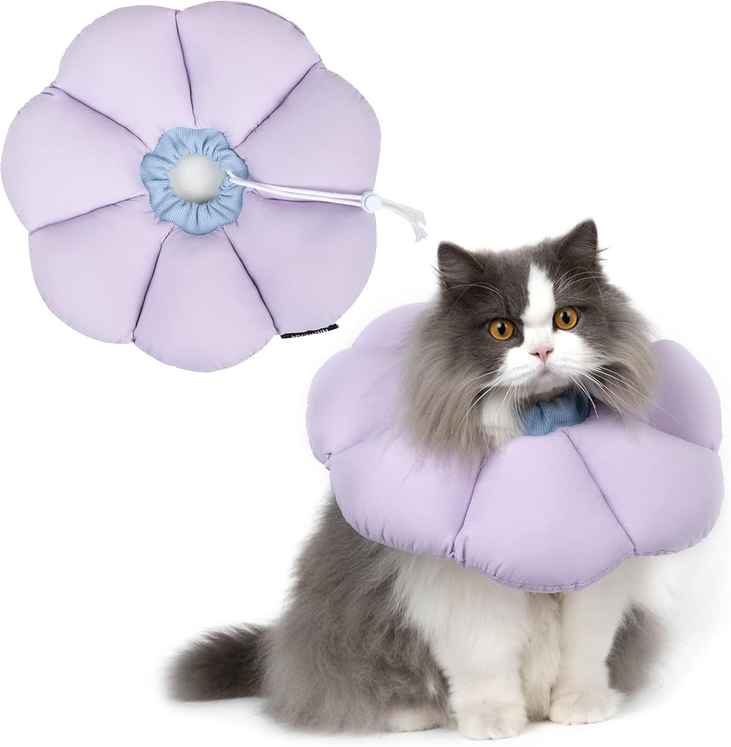 Cat Cone Collar