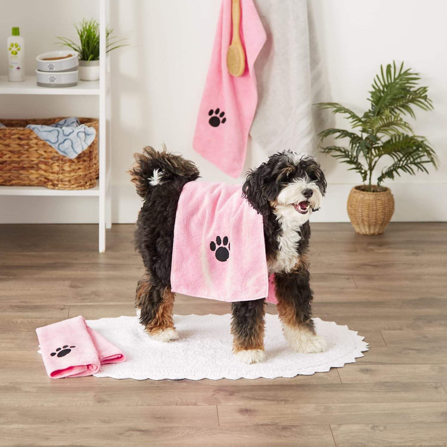Pet Bath Kit