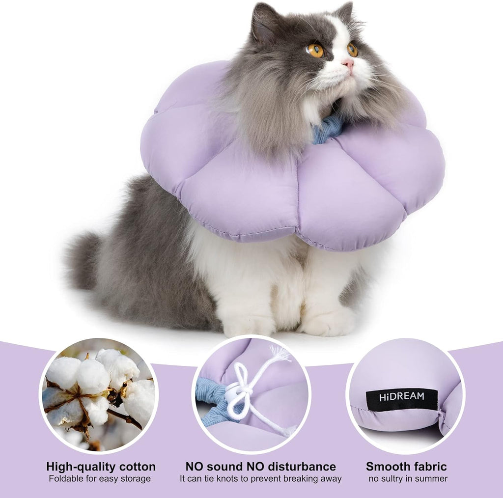 Cat Cone Collar