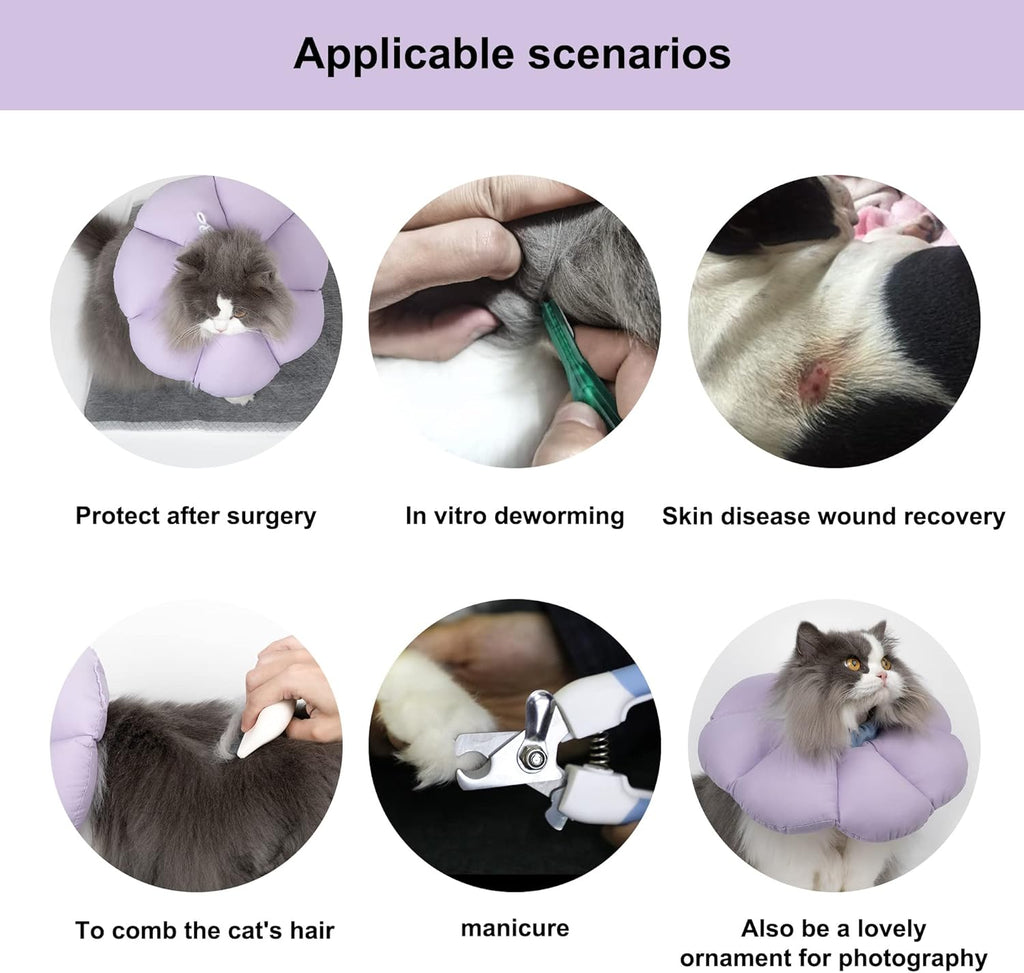 Cat Cone Collar