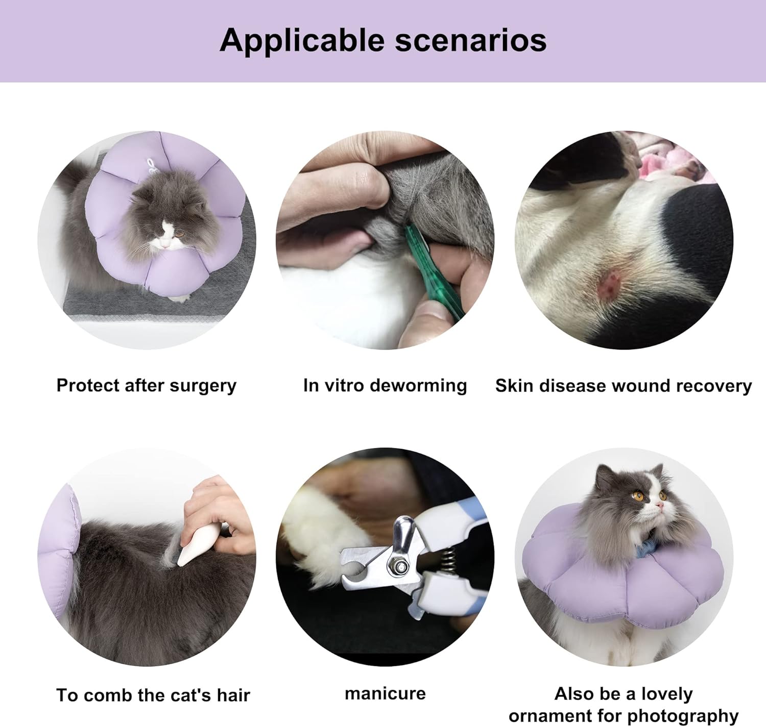 Cat Cone Collar