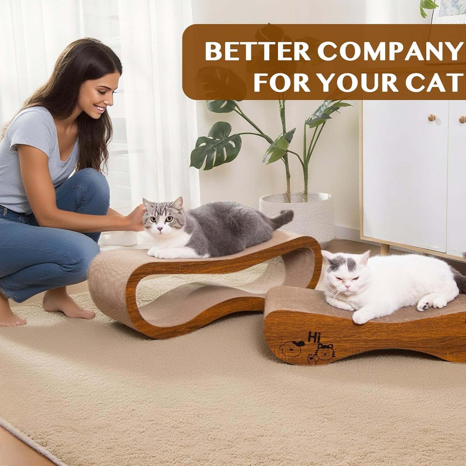 Cat Scratcher Bed