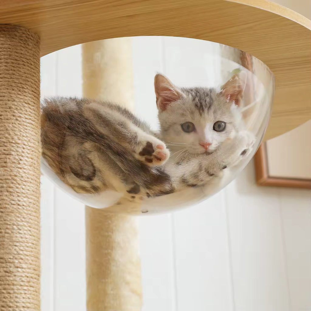 Multi-Level Indoor Cat Tree Wooden Tower with Scratching Posts, Spacious Condo, Hammock, Top Perch, Cat Scratcher & Interactive Toys for Cats