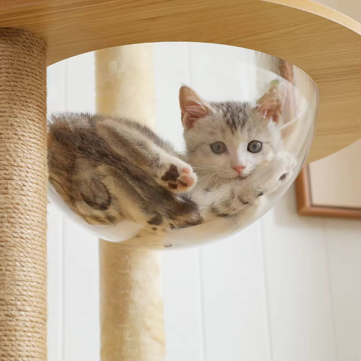 Multi-Level Indoor Cat Tree Wooden Tower with Scratching Posts, Spacious Condo, Hammock, Top Perch, Cat Scratcher & Interactive Toys for Cats