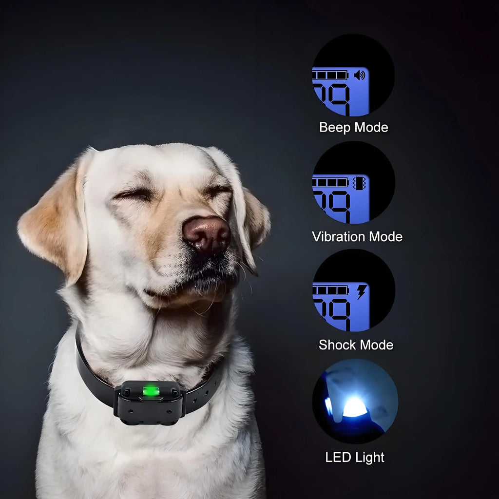 800m Remote Control Electronic Collar For Dog Training, LCD Screen, Waterproof, Pet Trainer for Most Dogs