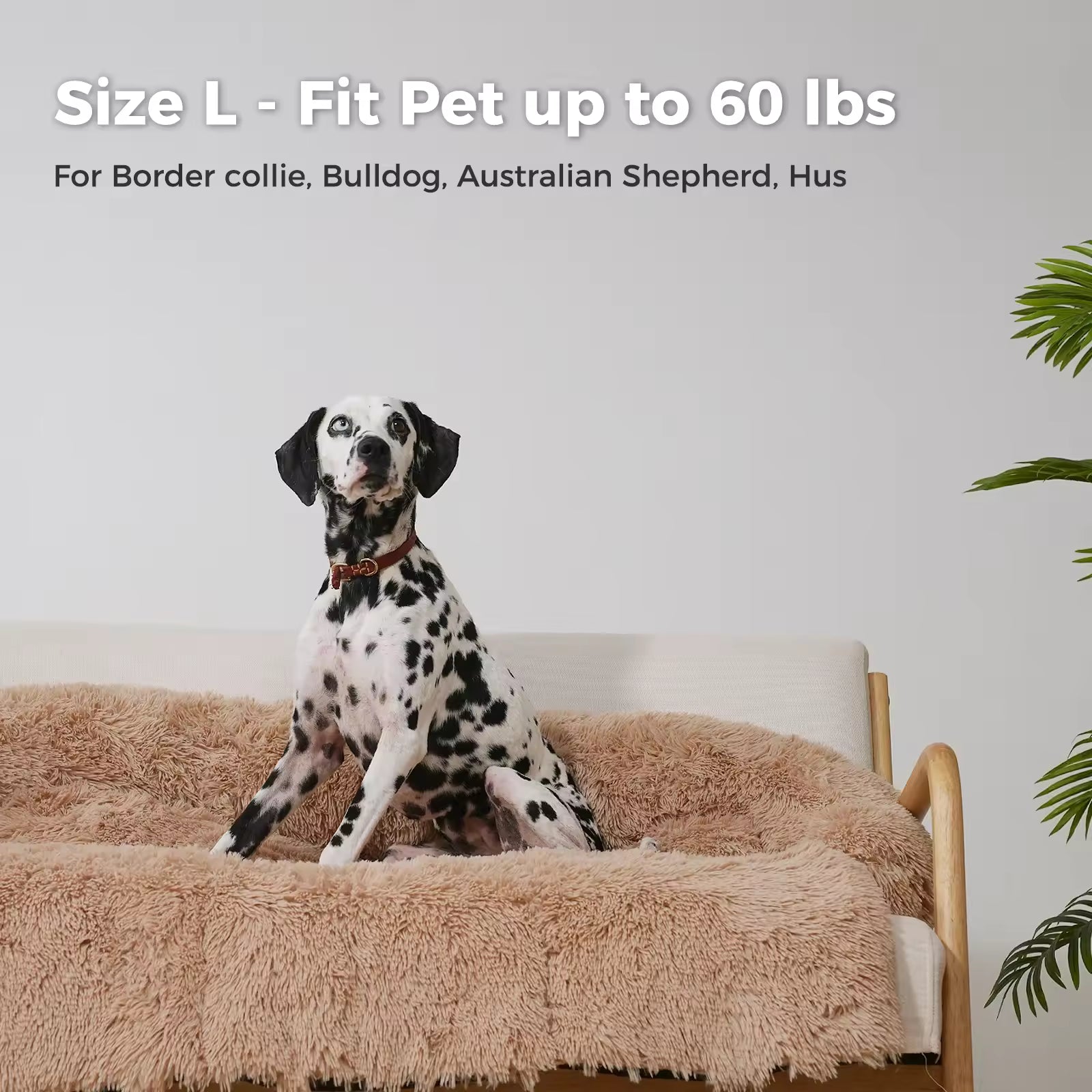 Winter Warm Mat Sofa Blanket for Dogs & Cats, Portable Sleeping Bed, Washable Pet Kennel Pad for Cozy Comfort