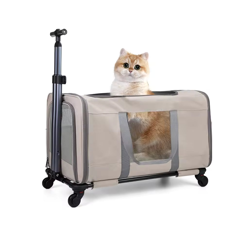 Travel Cat Trolley for 2 Cats, Rolling Pet Carrier Box with Safety Belts & Wheels, Transport Bag for Multi-Pet Travel