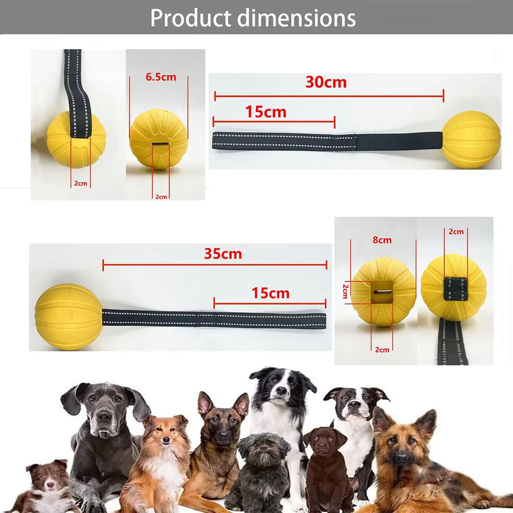 Dog Rope Training Ball