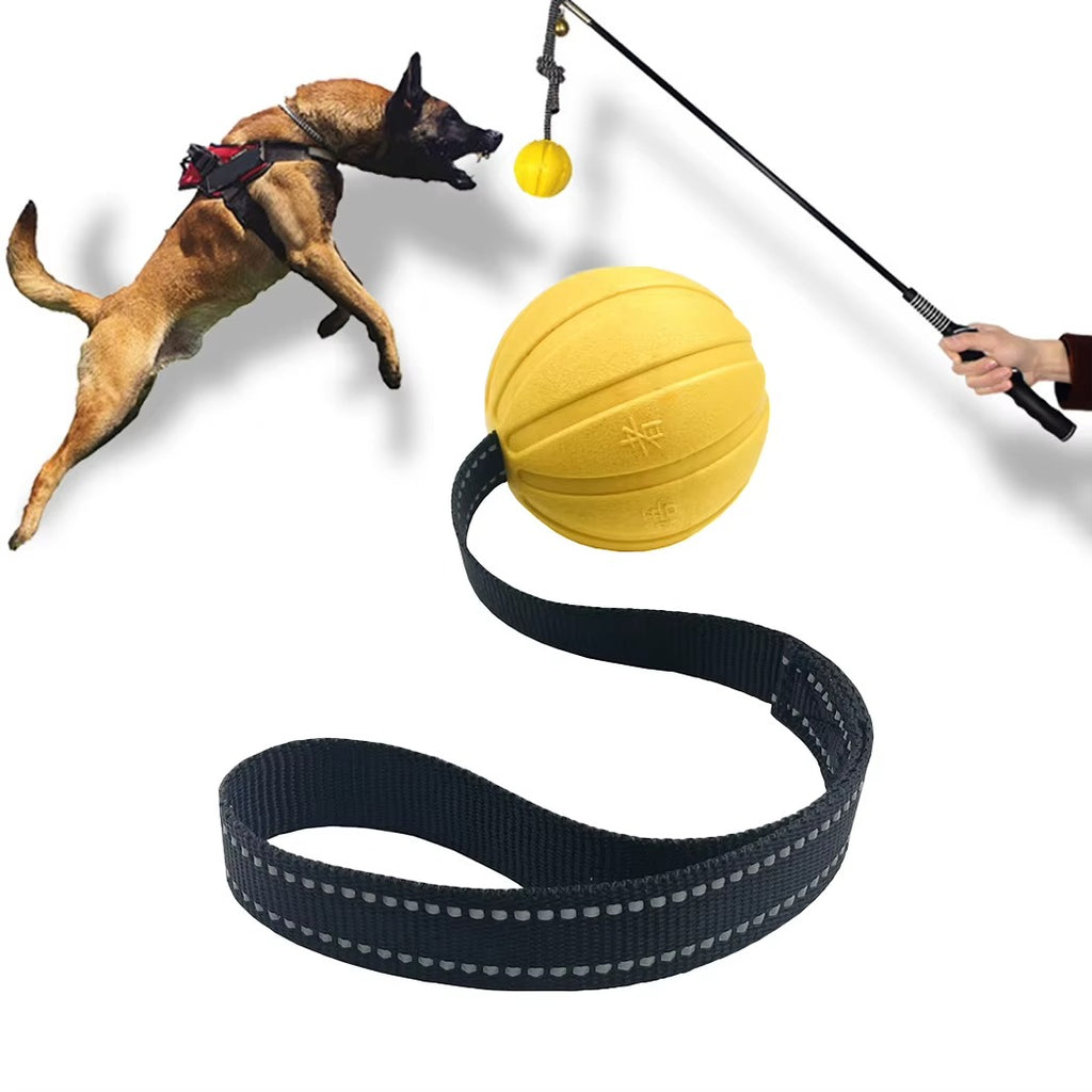 Dog Rope Training Ball
