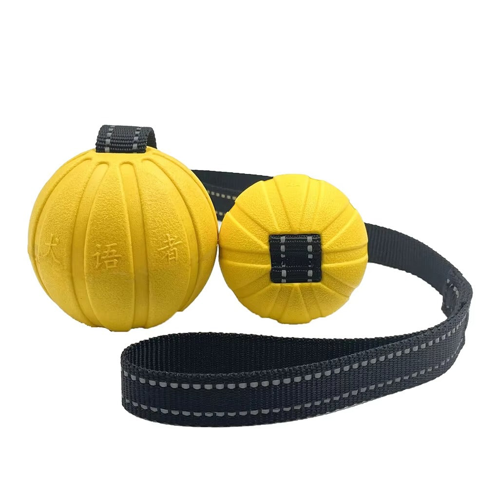 Dog Rope Training Ball