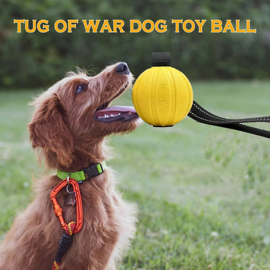 Dog Rope Training Ball
