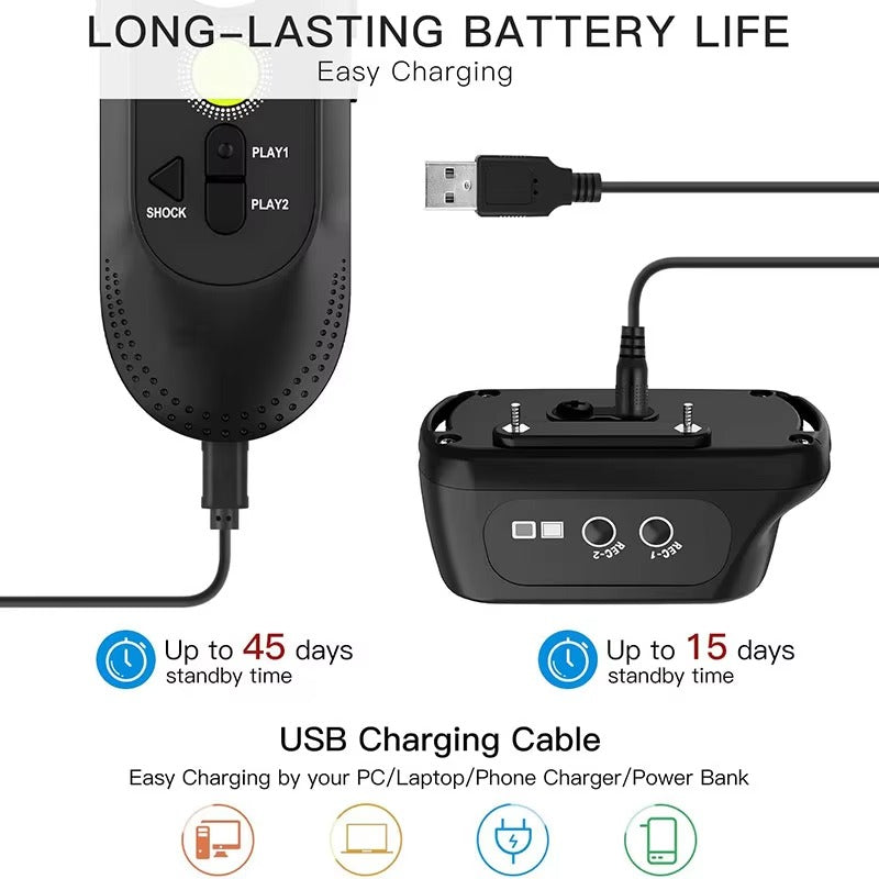 Voice Remote Training Collar