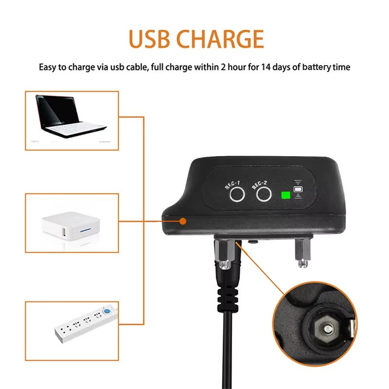 Voice Remote Training Collar