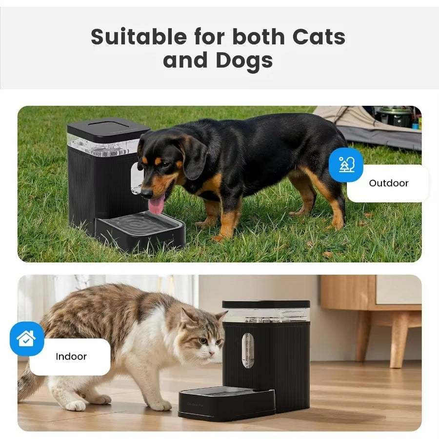 Automatic Dog Water Dispenser 6.5L