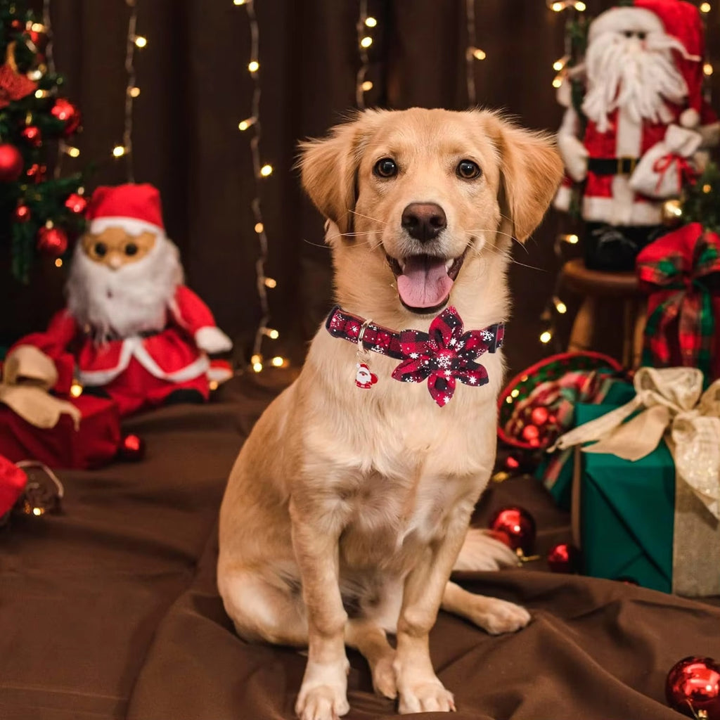 Christmas Plaid Dog Collar