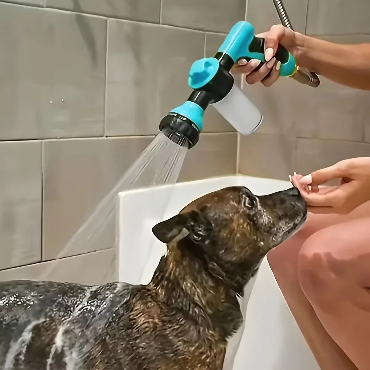 Grooming Shower Kit