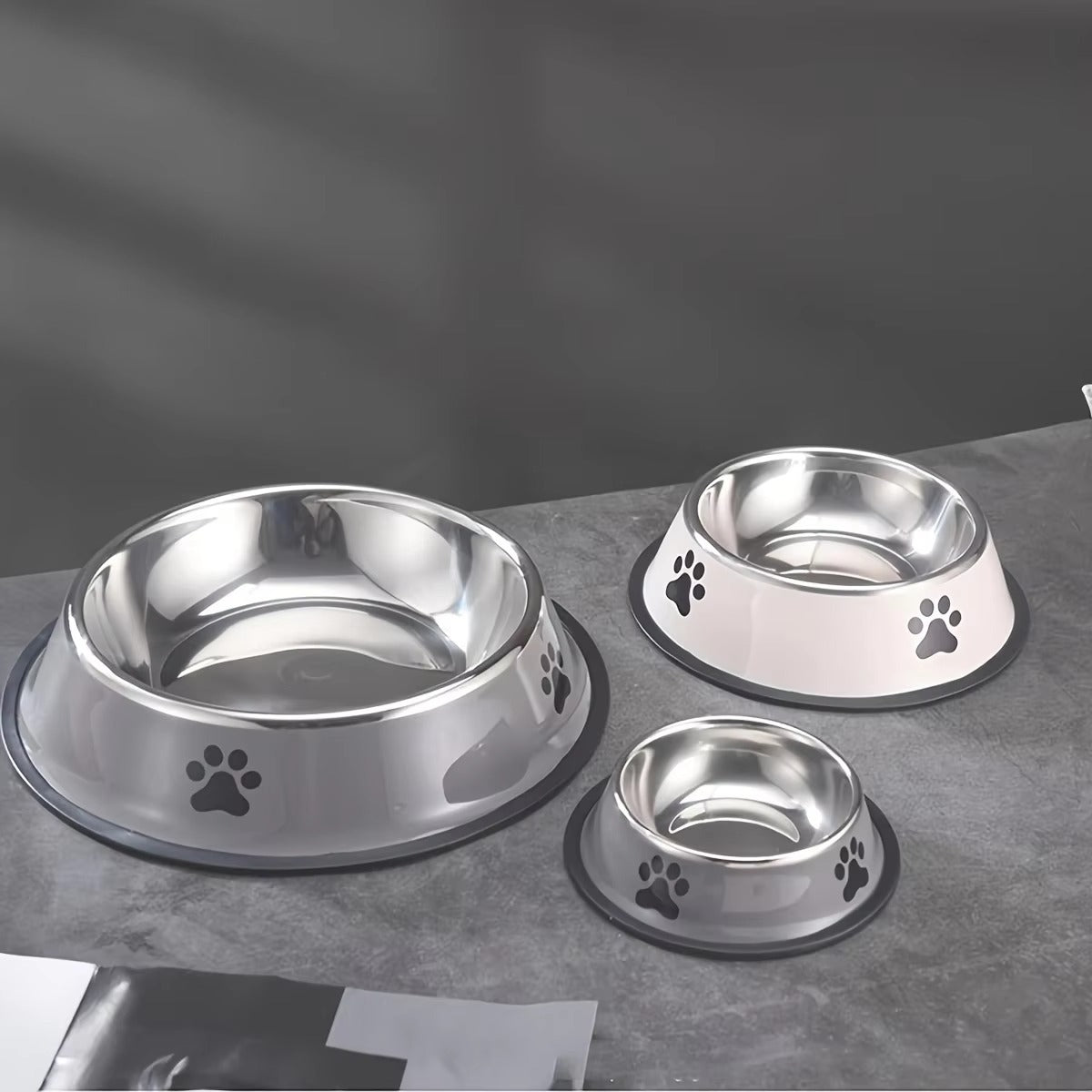 Elevated Dual Bowl