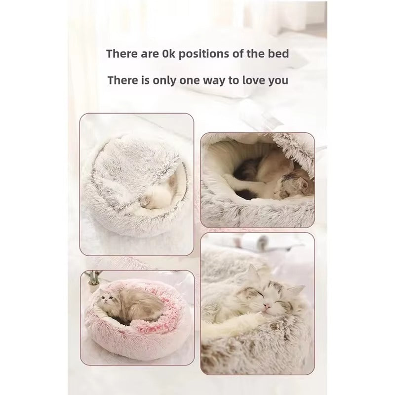 Shell Cat Nest