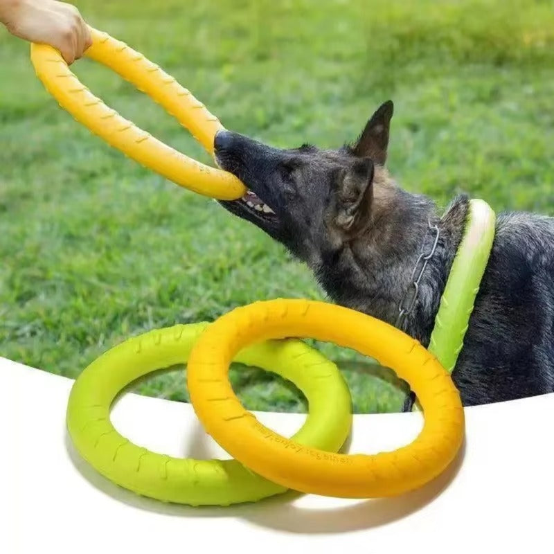 Indestructible Ring Fetch Toy