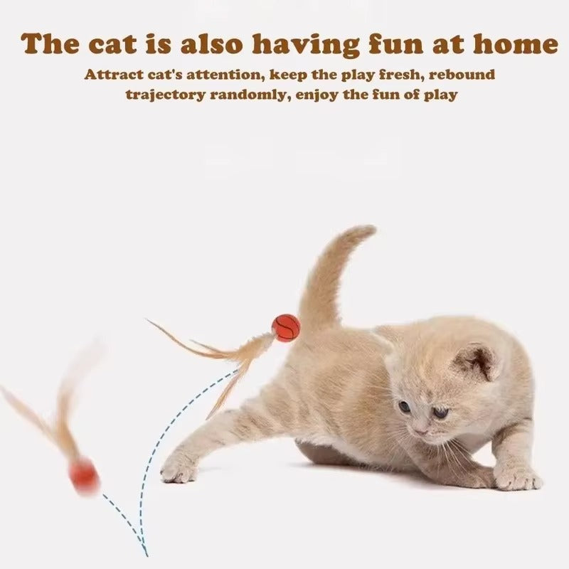 Feather Ball Toy