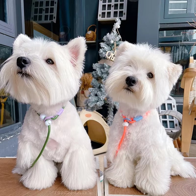 Adjustable Slip Rope Training Leash for Dogs – Strong, No-Pull Lead for Walking, Behavior Training and Outdoor Control