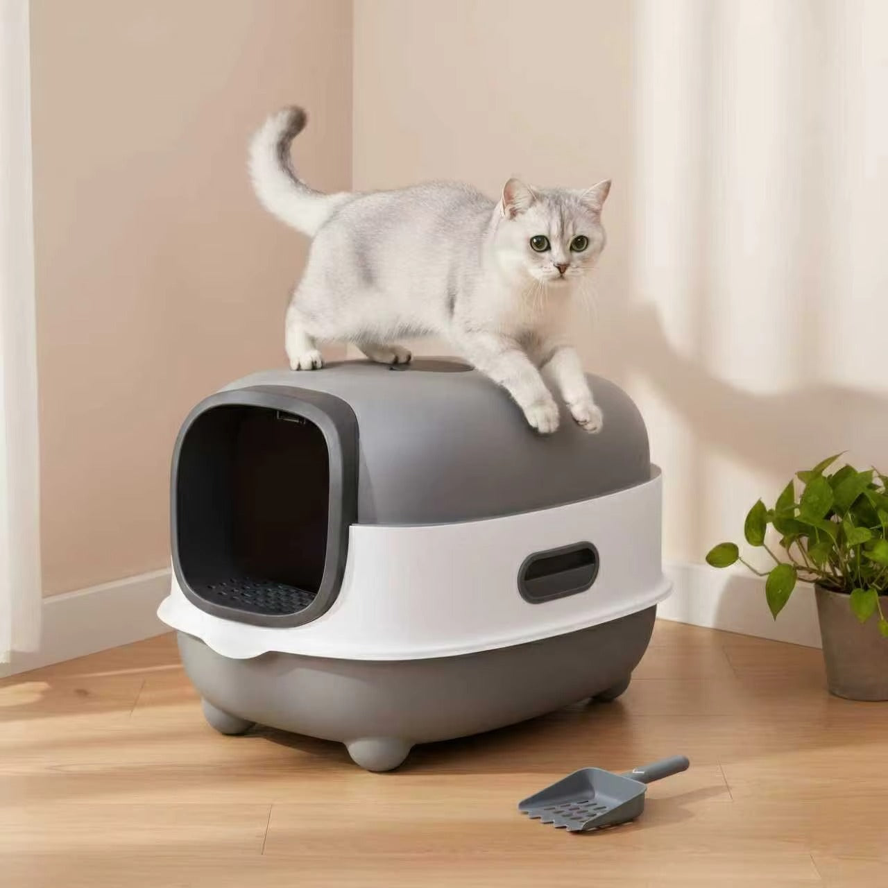Hooded Litter Box
