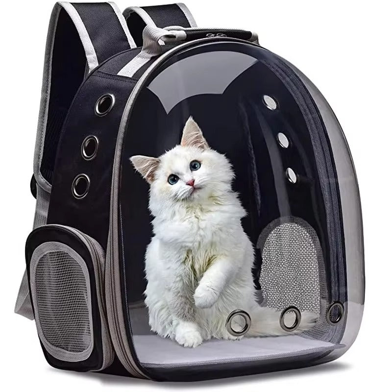 Bubble Cat Backpack