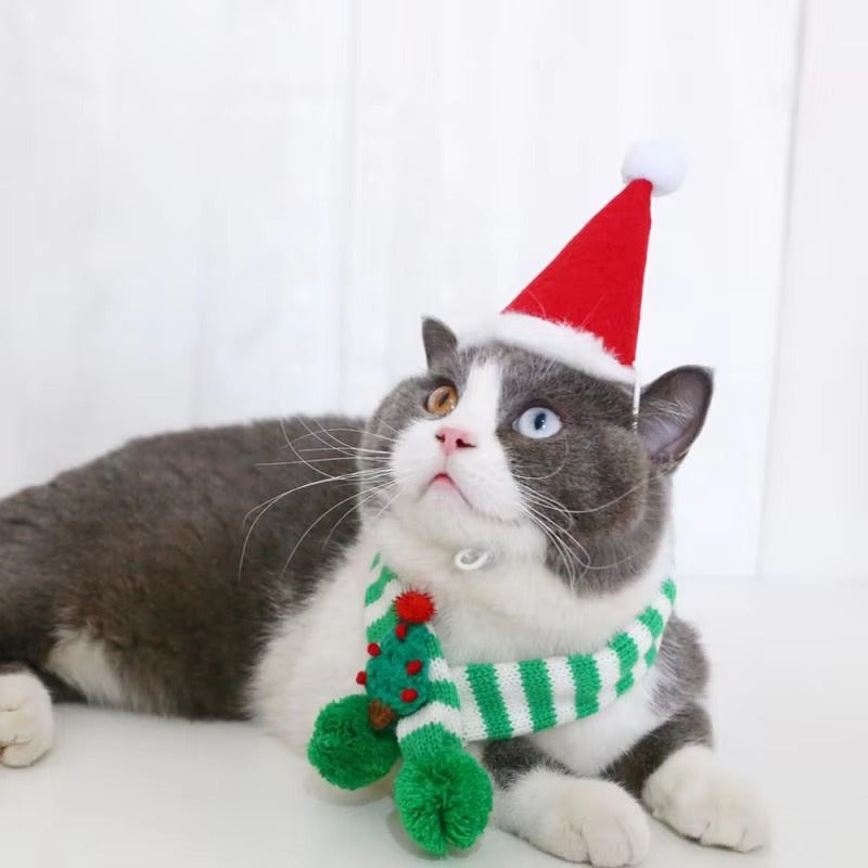 Christmas Pet Scarf