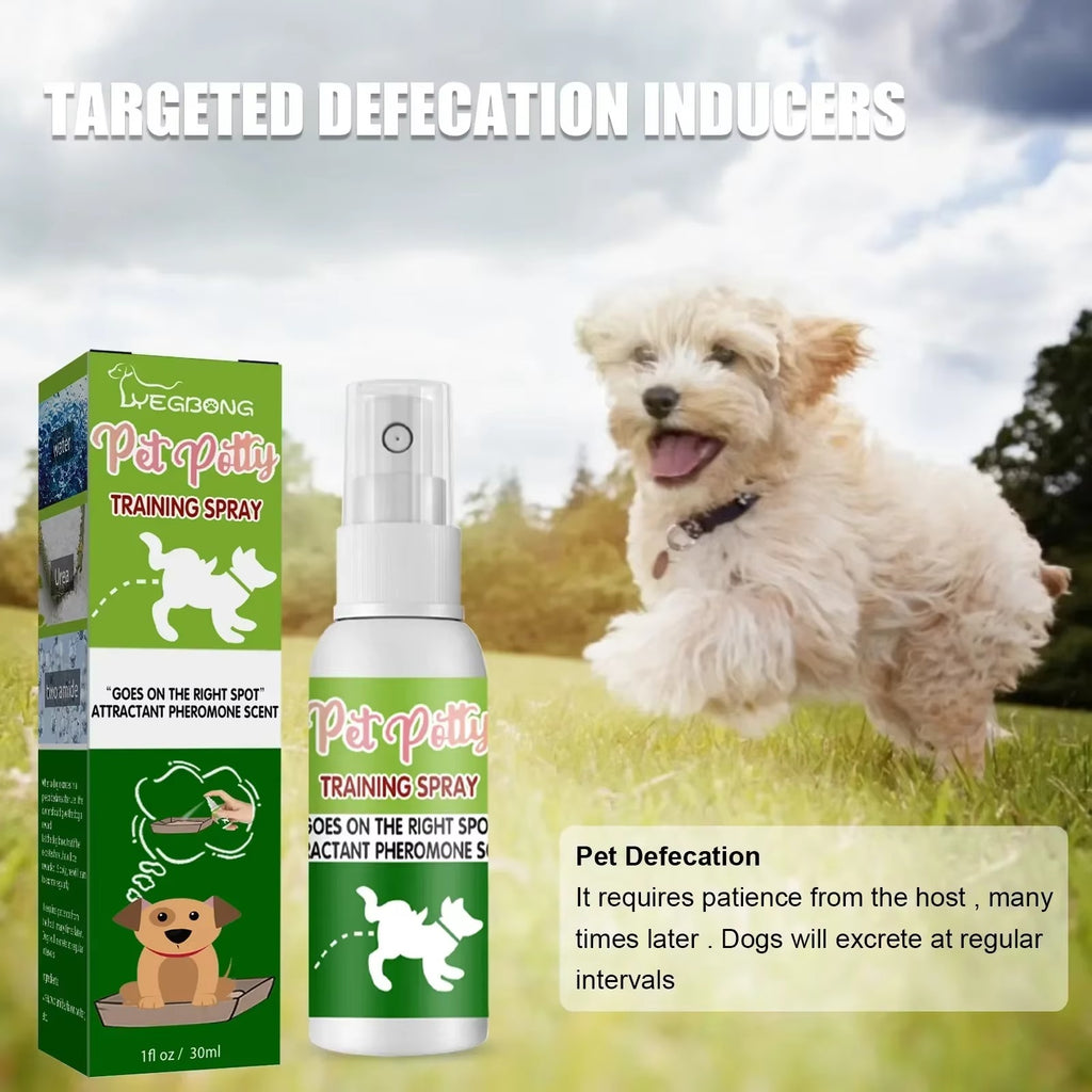 Pet Toilet Training Spray – Helps Encourage Proper Elimination Habits, Effective Indoor Potty Training Aid for Dogs and Puppies