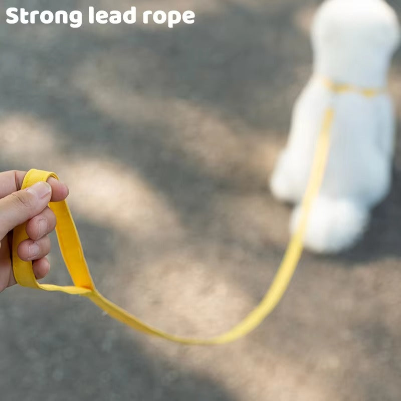 Sunflower Winter Harness