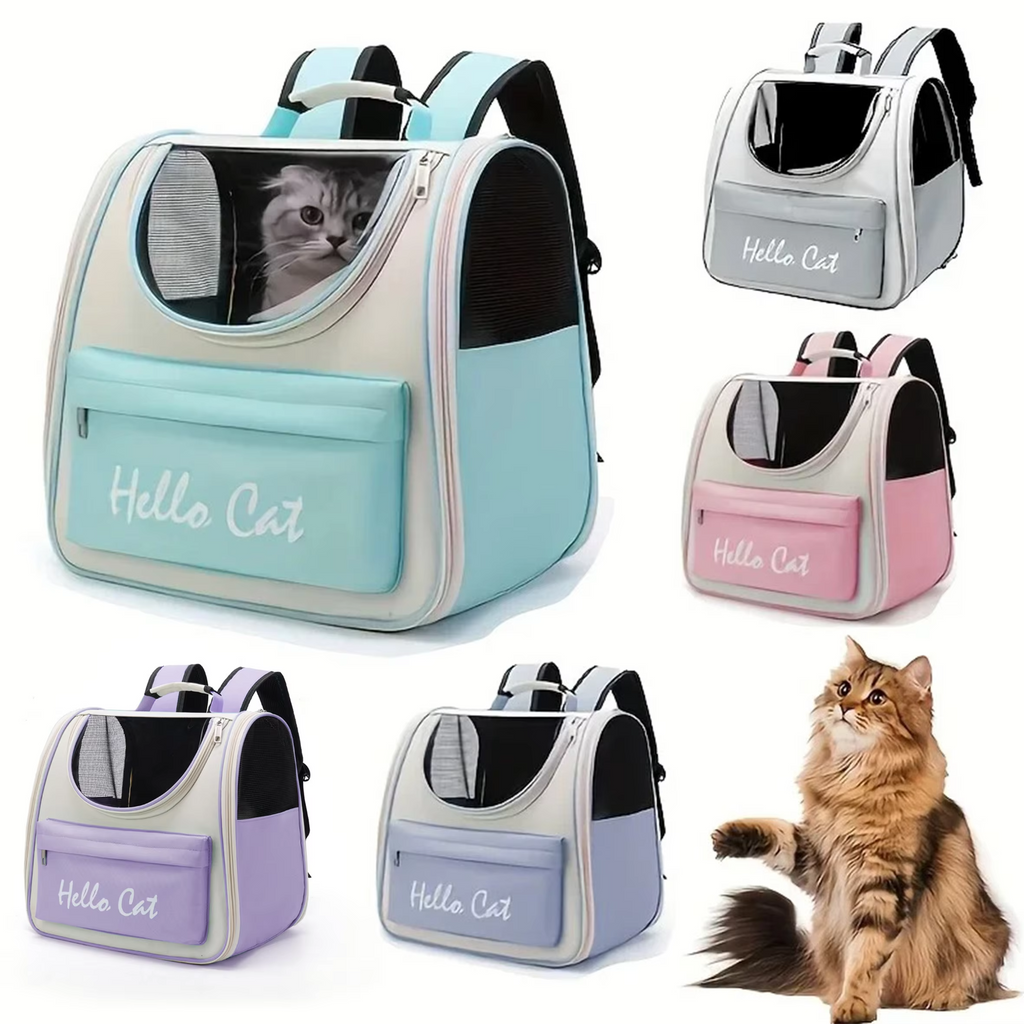 Collapsible Pet Backpack