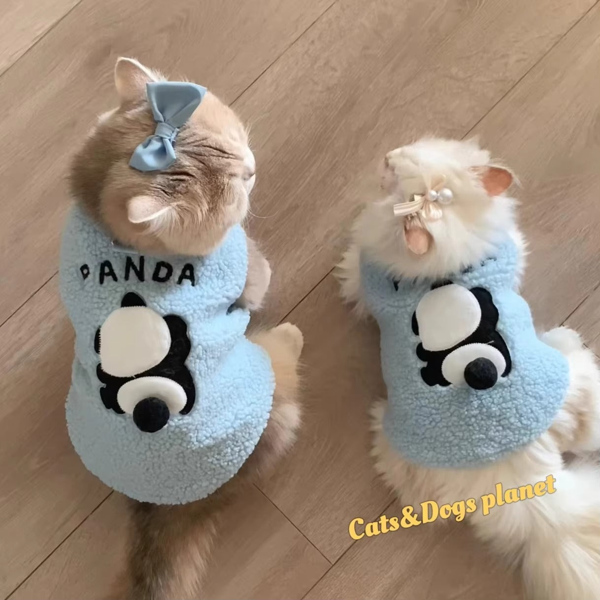 Cute Cozy Cat Sweater
