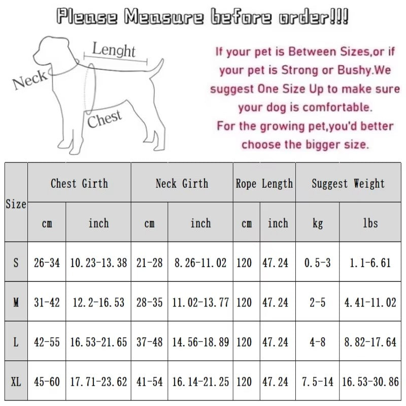 Sunflower Winter Harness