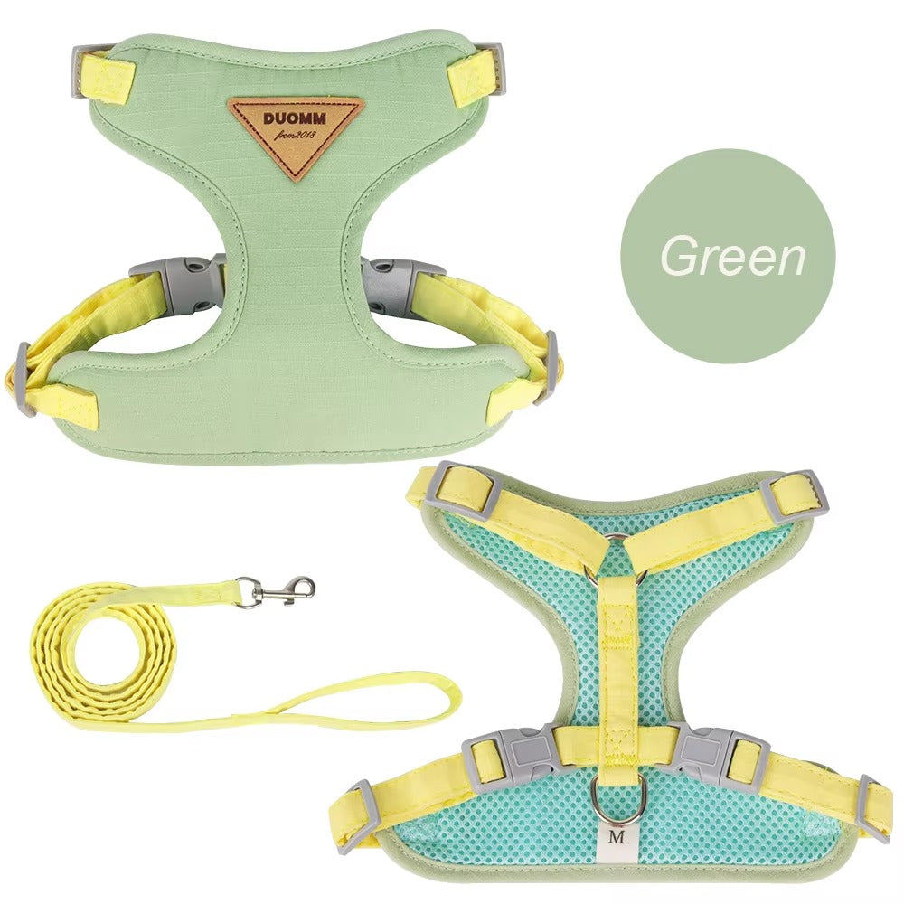 Fashion Harness Set