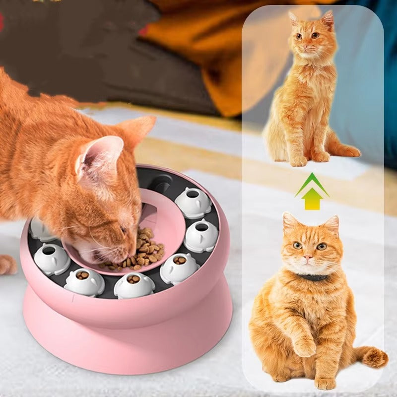 Cat Slow Feeder Puzzle