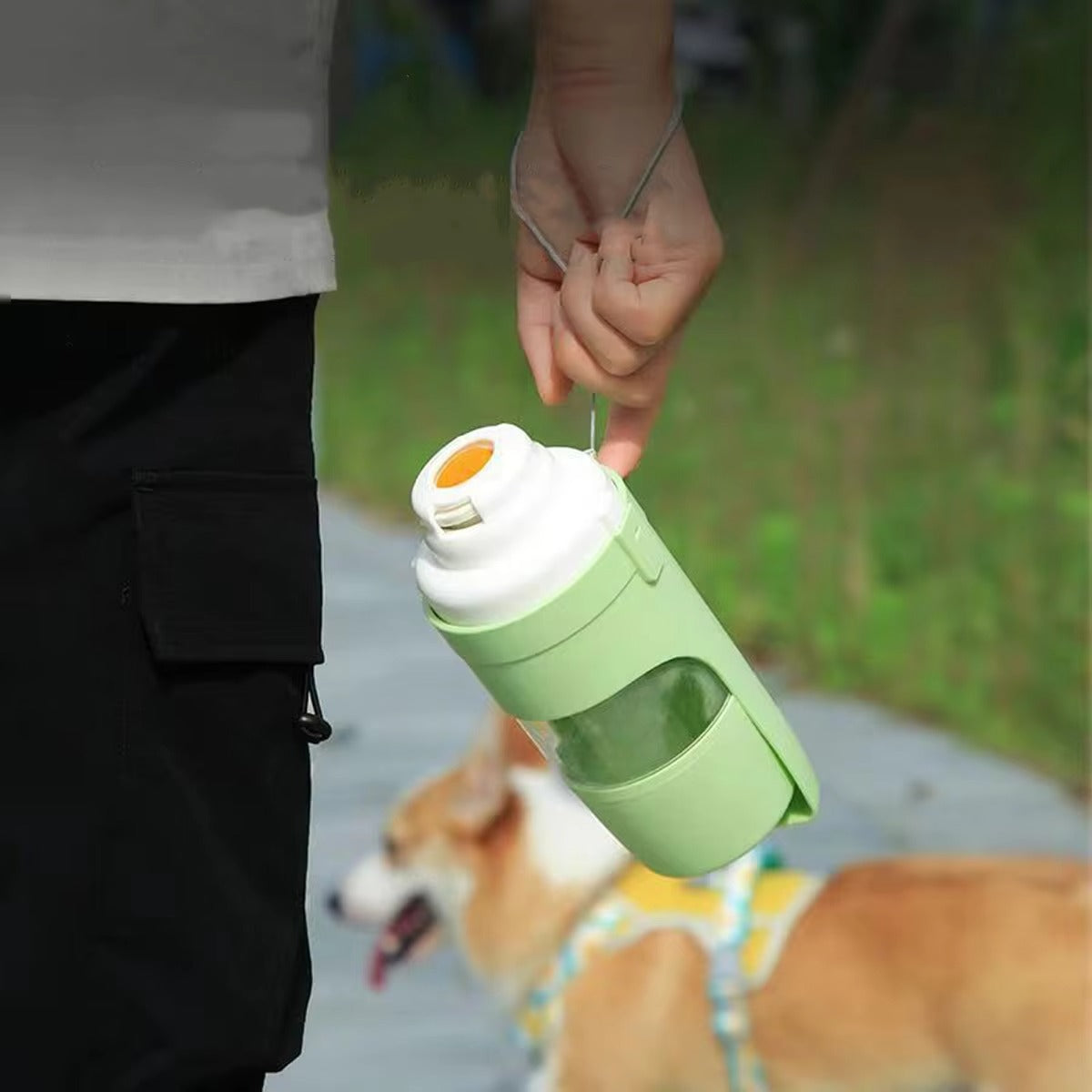 Travel Pet Bottle
