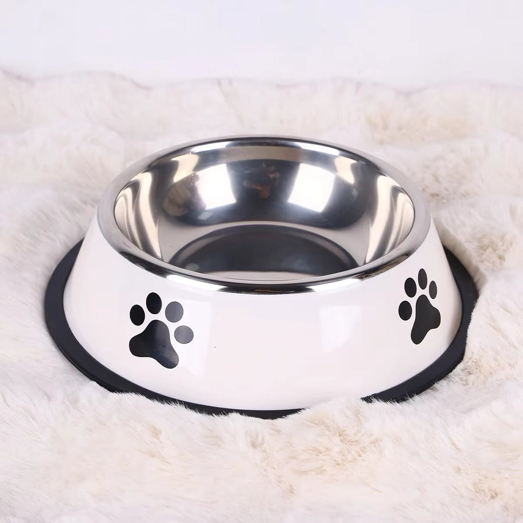 Elevated Dual Bowl