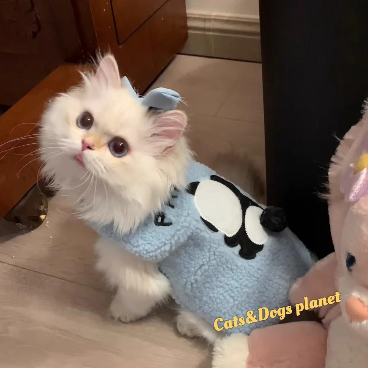 Cute Cozy Cat Sweater