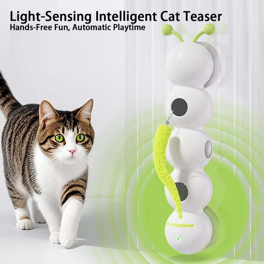 Interactive Worm Toy