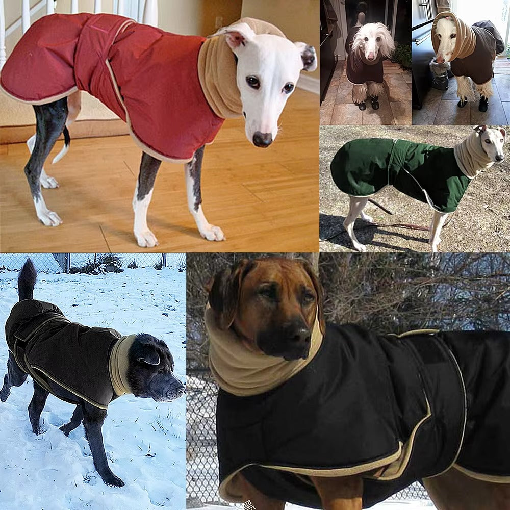 Comfortable Warm Waterproof Dog Coat Insulated Pet Jacket for Small & Medium Dogs, Windproof Rainproof Outerwear for Cold Weather