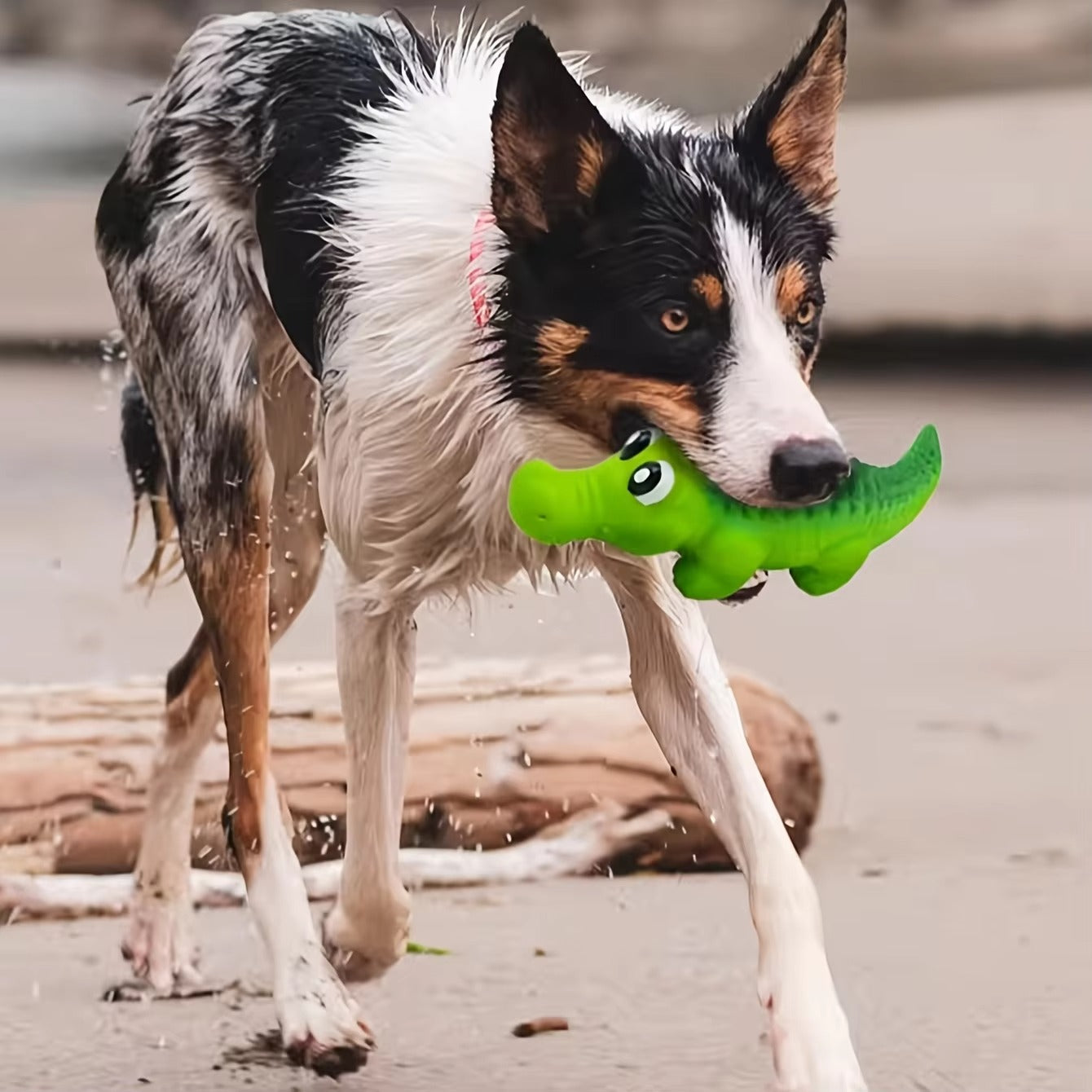 Squeaky Crocodile Rubber Toy