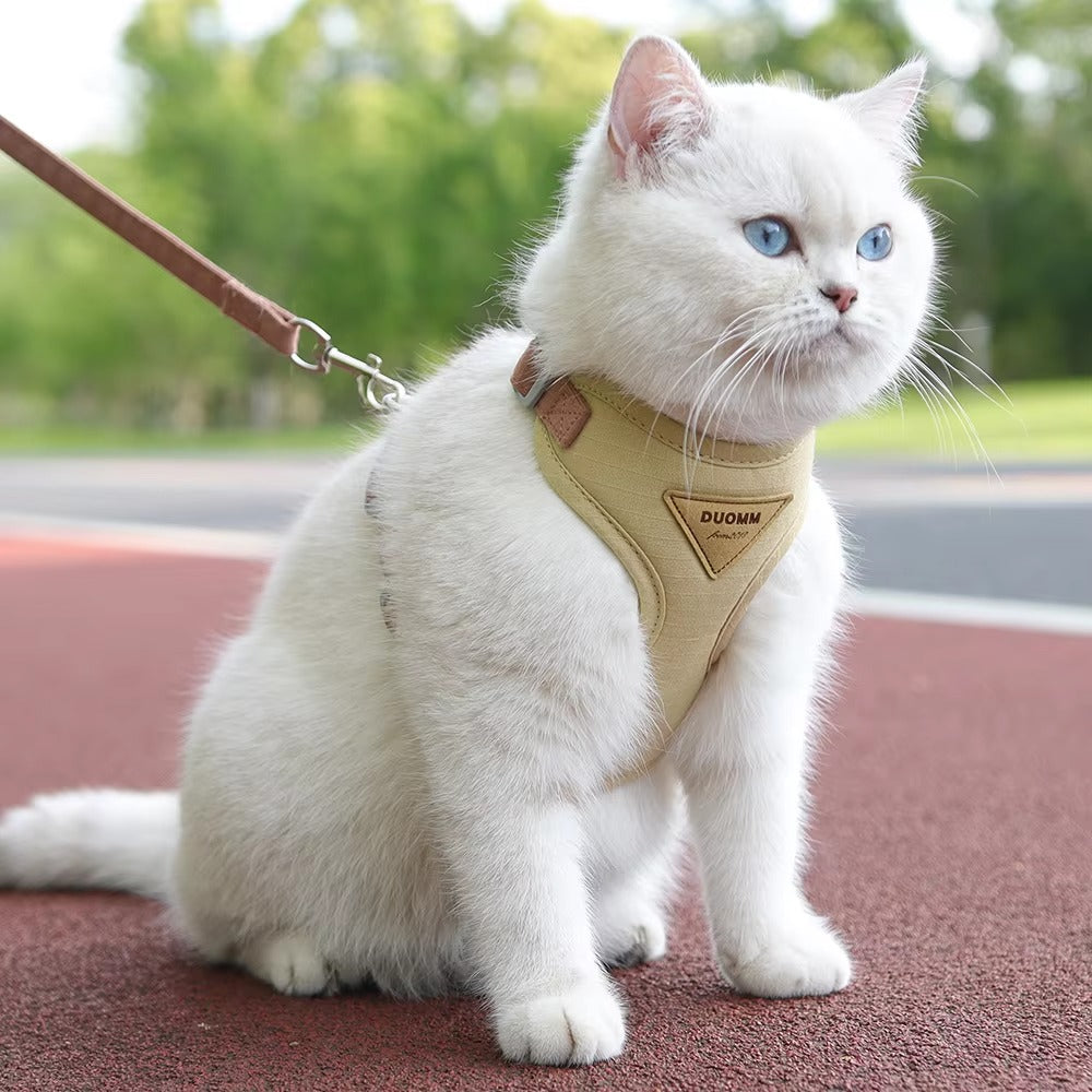 Fashion Harness Set