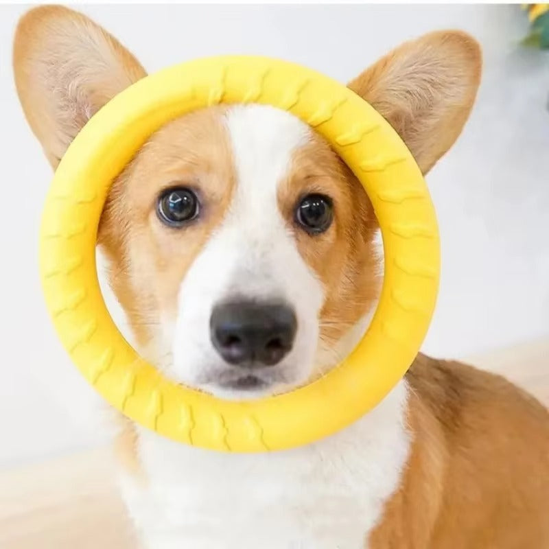 Indestructible Ring Fetch Toy